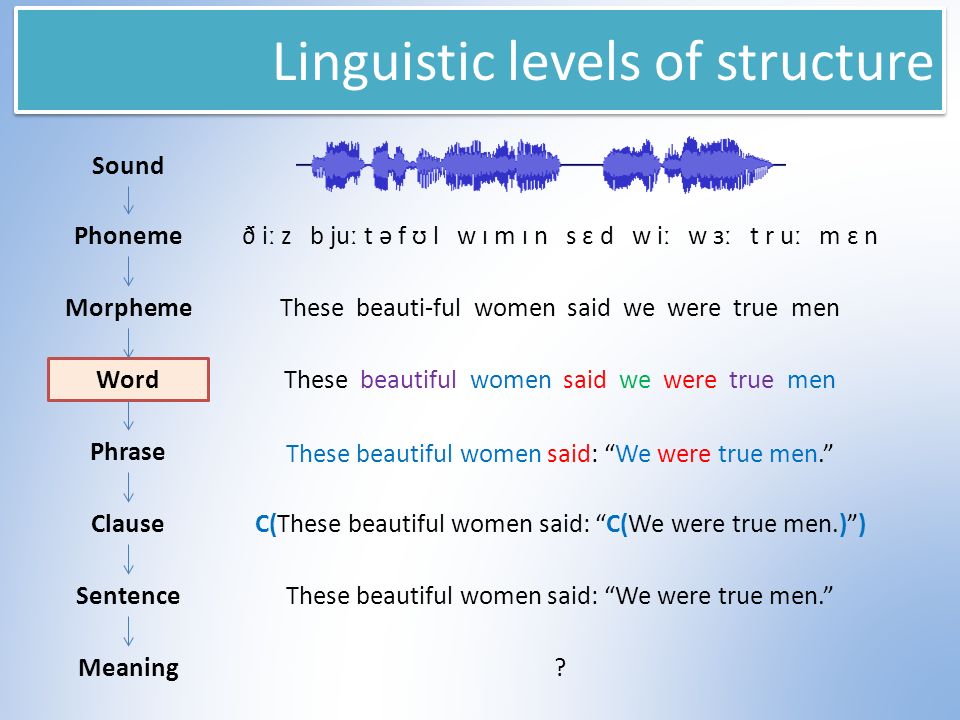 Word phrase sentence. Linguistic Levels. Levels of Linguistics. Structural Linguistics. Linguistic structure.