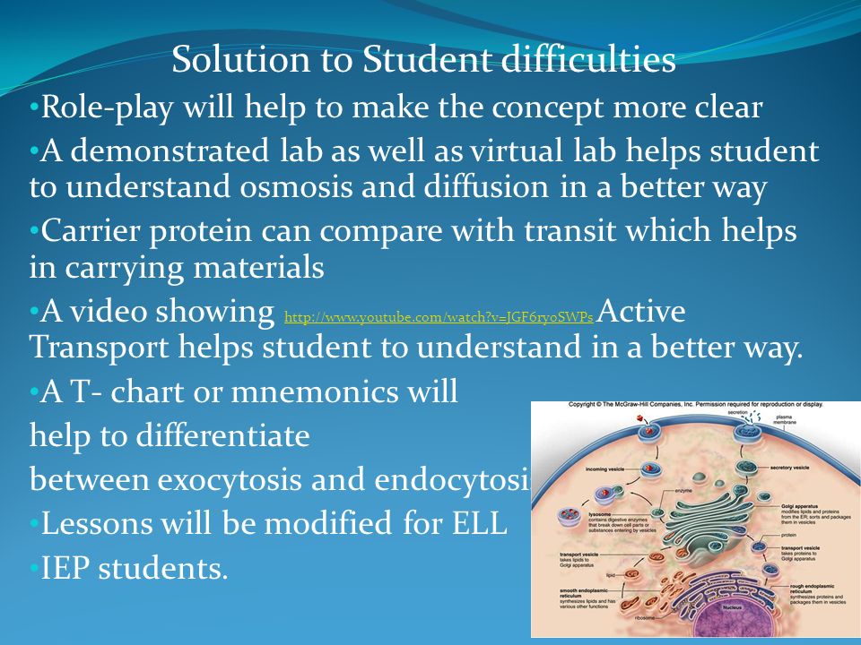 Teaching The Concept Of And The Transport Across The Membrane Fircy Jemon Ppt Download Teaching The Concept Of And The Transport Across The Membrane Fircy Jemon Ppt Download