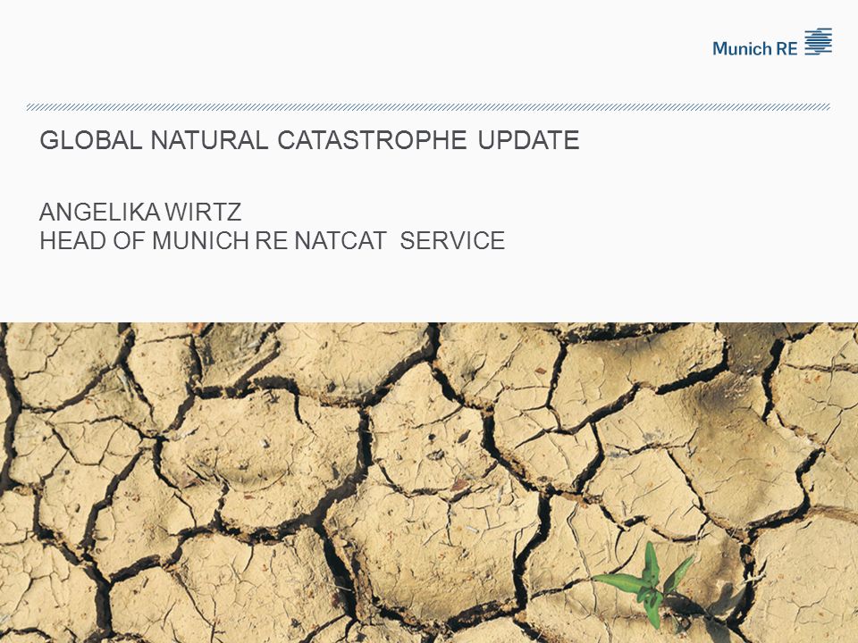 © 2010 Munich Re 24 Source: Geo Risks Research, NatCatSERVICE As at January 2010 GLOBAL NATURAL CATASTROPHE UPDATE ANGELIKA WIRTZ HEAD OF MUNICH RE NATCAT SERVICE