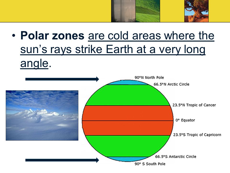 Polar zones are cold areas where the sun’s rays strike Earth at a very long angle.