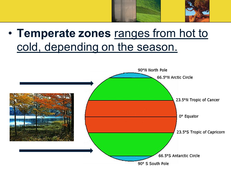 Temperate zones ranges from hot to cold, depending on the season.