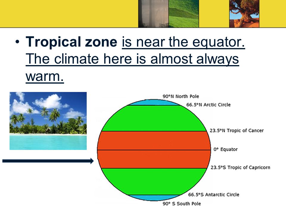 Tropical zone is near the equator. The climate here is almost always warm.