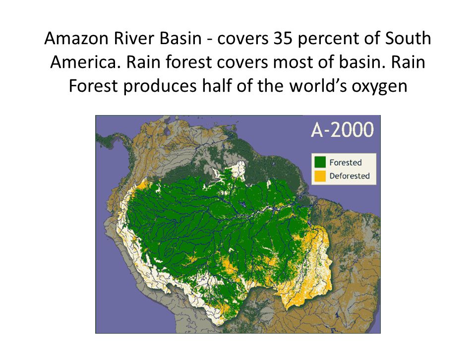 Amazonian Rain Forest is the largest Rainforest in the world Large tropical rain forest in the basin of Northern south America 80 inches of rain yearly but up to 260 inches; even ºF (warm and humid) year round Cover more than 1/3 of the continent Contains the Amazon River which is the second longest river in the world