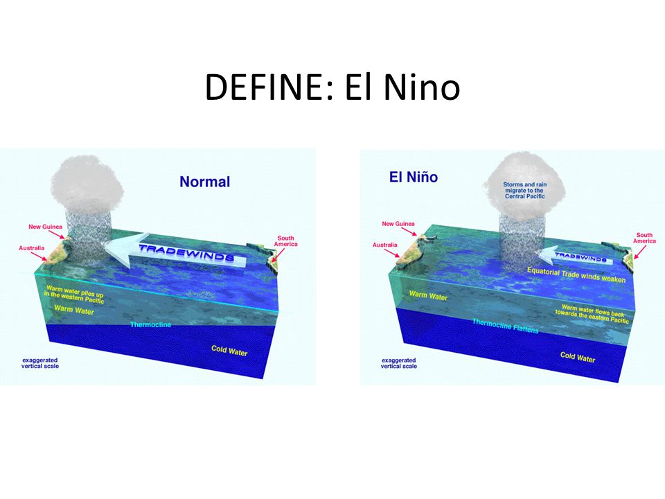 El Nino- a warm ocean current that influences weather A warming of water in the eastern Pacific caused by weakening trade winds.