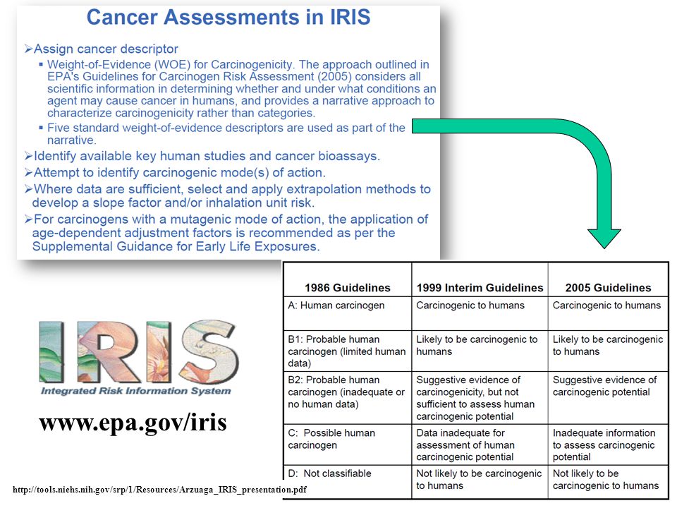 Human дата. Human Guidelines. IARC carcinogen classification. M International презентация в пдф. Сберклауд презентация pdf.