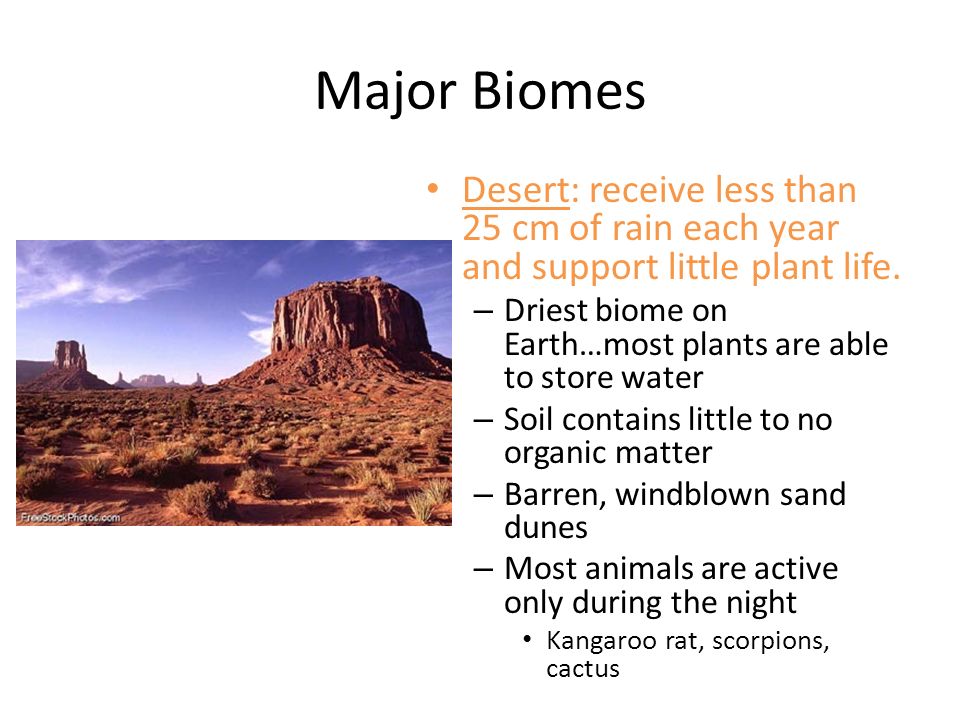 Major Biomes Desert: receive less than 25 cm of rain each year and support little plant life.