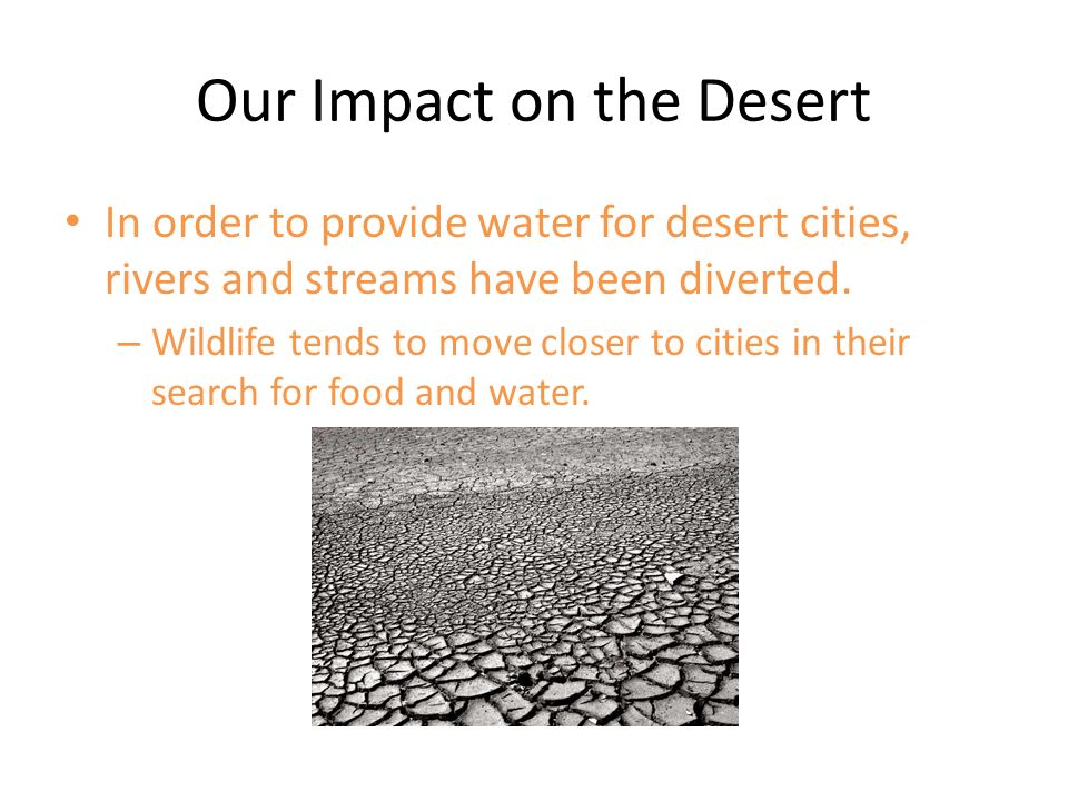Our Impact on the Desert In order to provide water for desert cities, rivers and streams have been diverted.