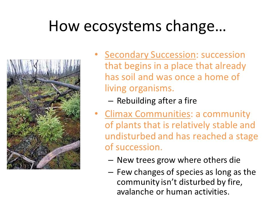 How ecosystems change… Secondary Succession: succession that begins in a place that already has soil and was once a home of living organisms.