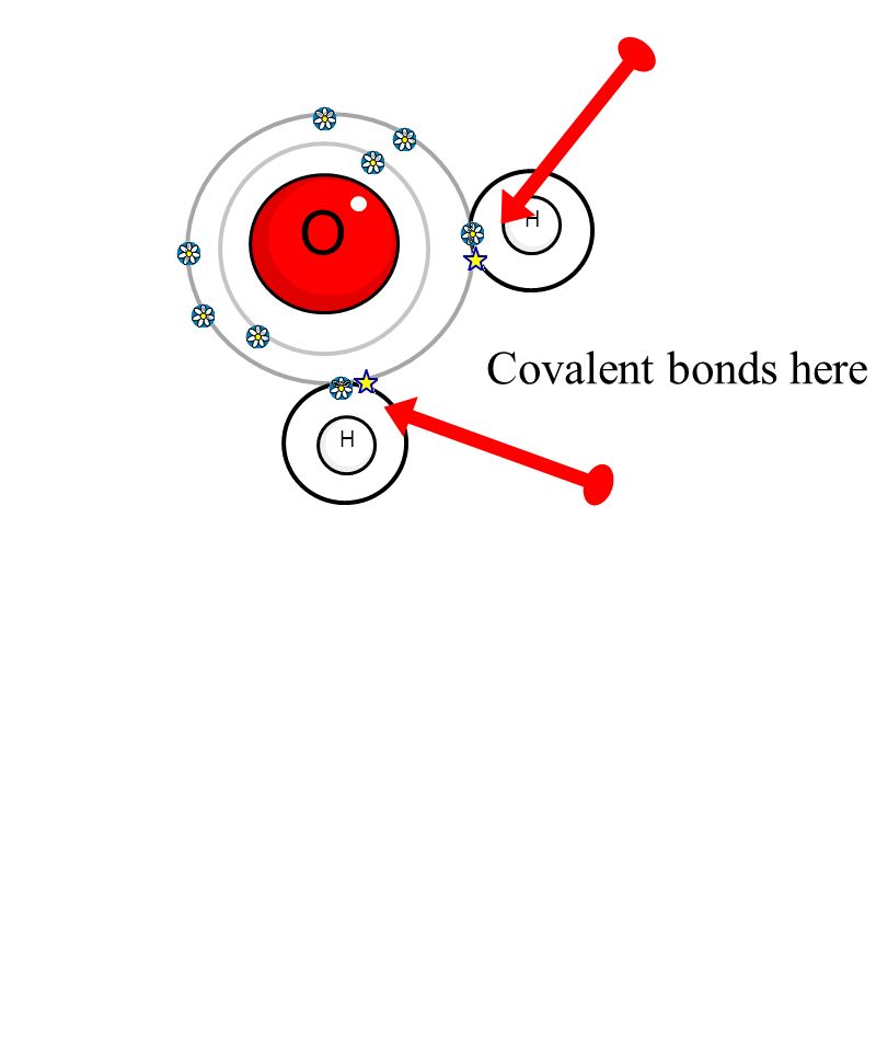 H O H Covalent bonds here
