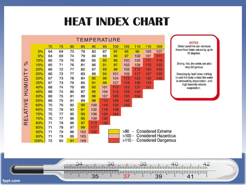 Nata Heat Index Chart