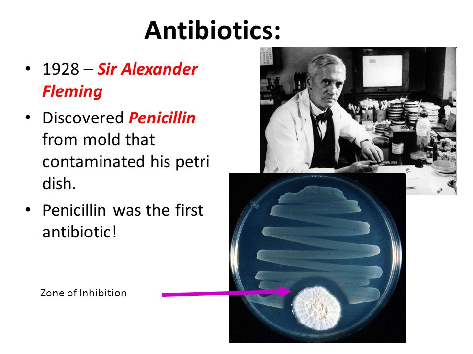 Antibiotics: 1928 – Sir Alexander Fleming Discovered Penicillin from mold that contaminated his petri dish.