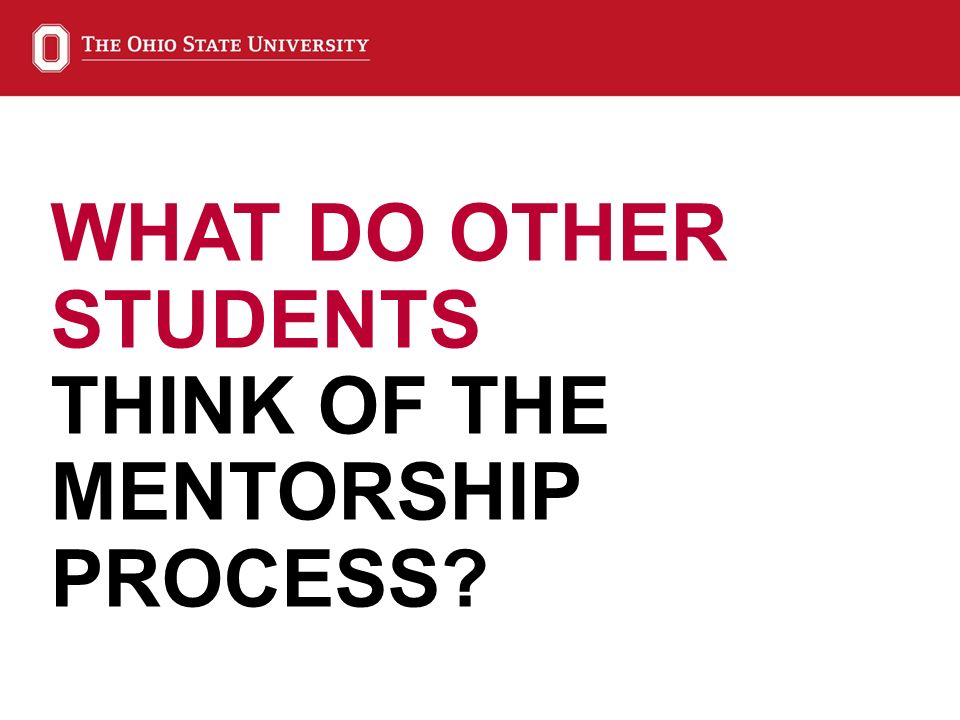 WHAT DO OTHER STUDENTS THINK OF THE MENTORSHIP PROCESS