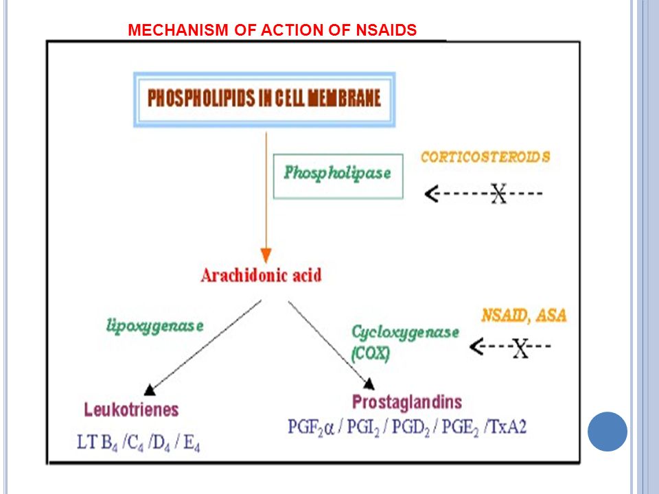 N On Steroidal Anti Inflammatory Drugs Objectives At The End