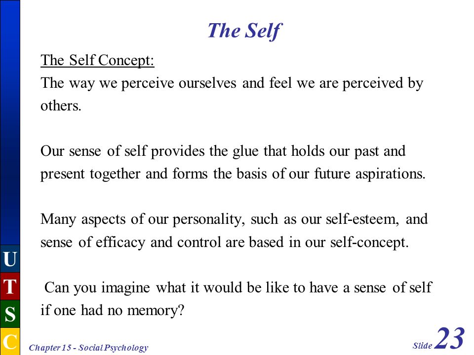 learning history essay year 9