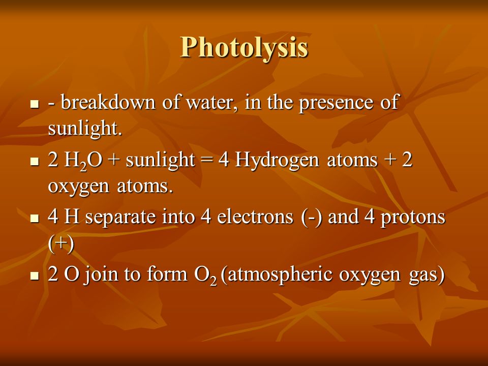 Photolysis - breakdown of water, in the presence of sunlight.