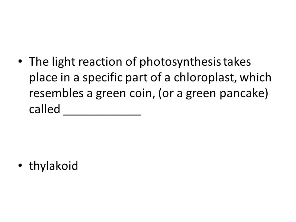 The light reaction of photosynthesis takes place in a specific part of a chloroplast, which resembles a green coin, (or a green pancake) called ____________ thylakoid