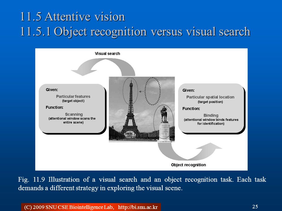 (C) 2009 SNU CSE Biointelligence Lab, Attentive vision Object recognition versus visual search 25 Fig.