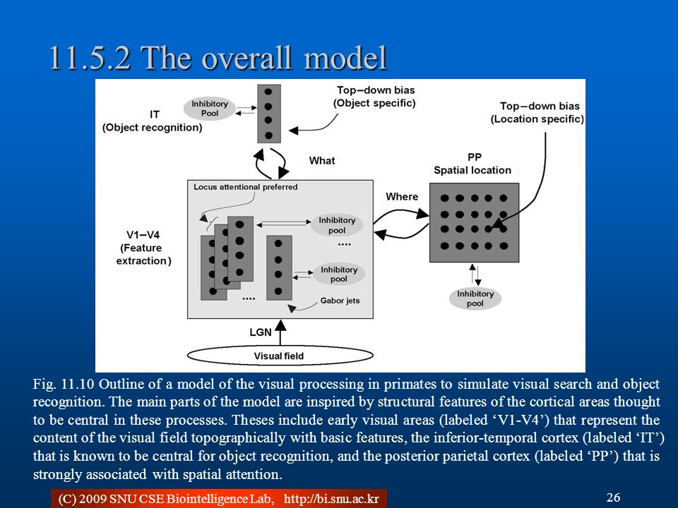 (C) 2009 SNU CSE Biointelligence Lab, The overall model 26 Fig.