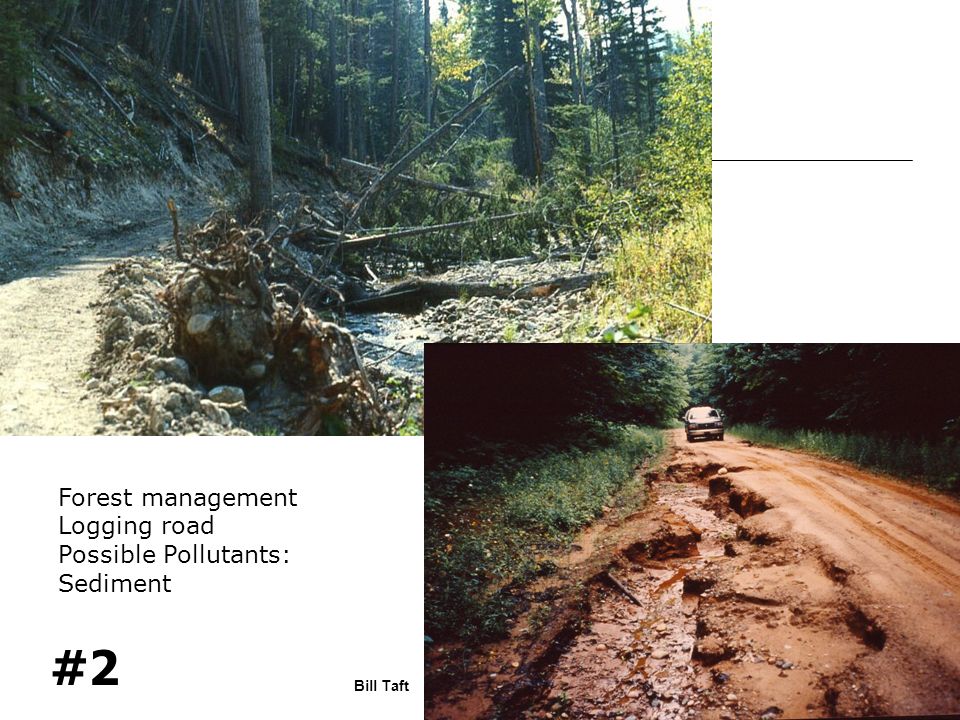 Bill Taft #2 Forest management Logging road Possible Pollutants: Sediment