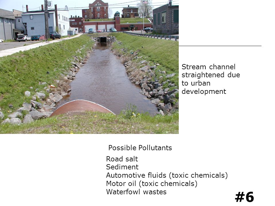 #6 Stream channel straightened due to urban development Road salt Sediment Automotive fluids (toxic chemicals) Motor oil (toxic chemicals) Waterfowl wastes Possible Pollutants