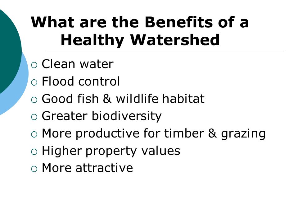 What are the Benefits of a Healthy Watershed  Clean water  Flood control  Good fish & wildlife habitat  Greater biodiversity  More productive for timber & grazing  Higher property values  More attractive