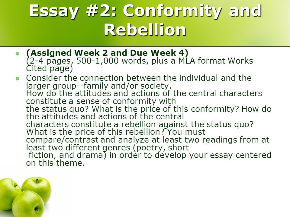conformity and rebellion essay
