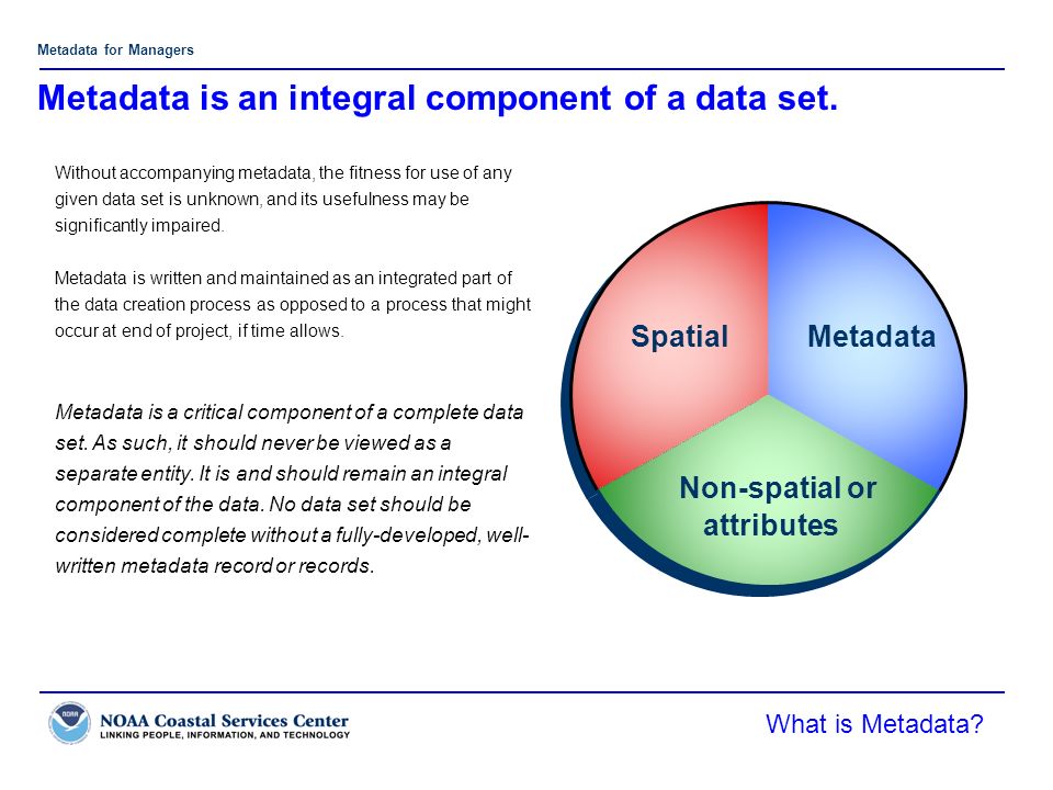 Metadata for Managers Metadata Non-spatial or attributes Spatial Without accompanying metadata, the fitness for use of any given data set is unknown, and its usefulness may be significantly impaired.