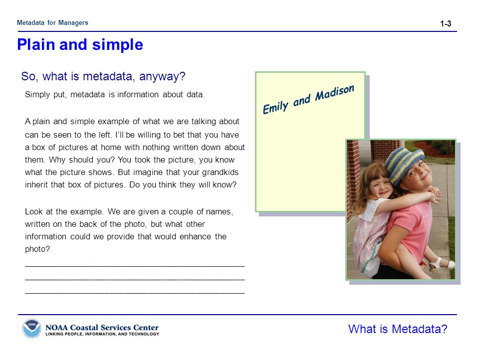 Metadata for Managers 1-3 Emily and Madison What is Metadata.