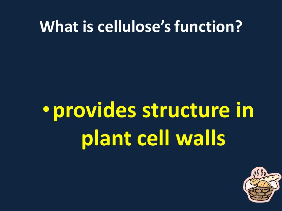 What is cellulose’s function provides structure in plant cell walls
