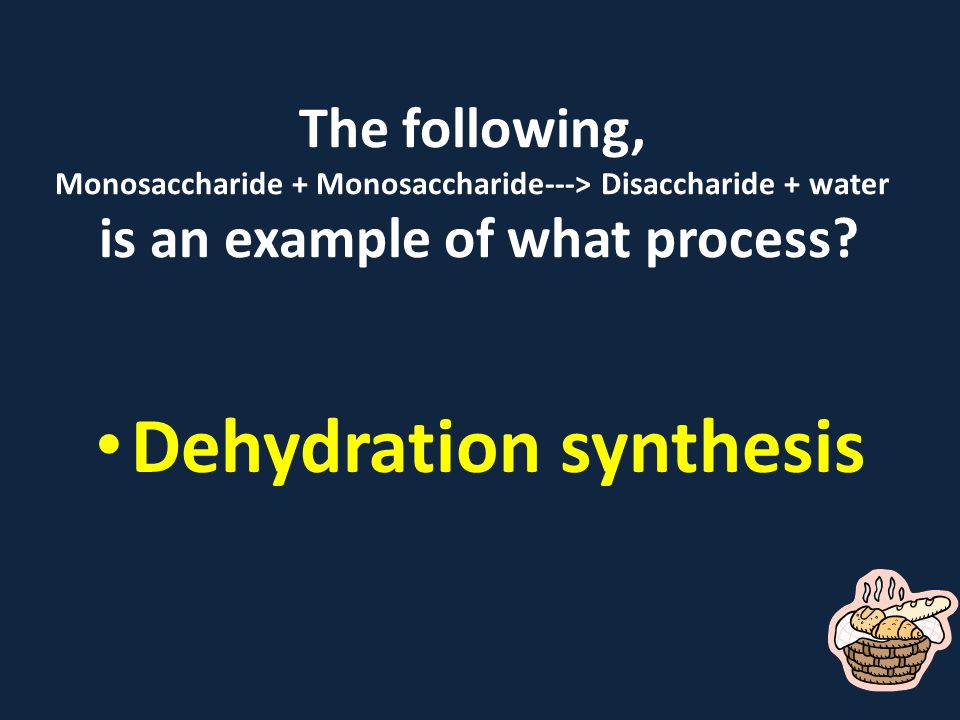 The following, Monosaccharide + Monosaccharide---> Disaccharide + water is an example of what process.