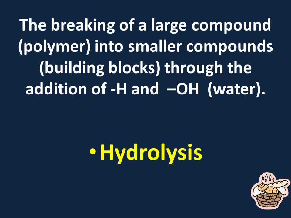 The breaking of a large compound (polymer) into smaller compounds (building blocks) through the addition of -H and –OH (water).