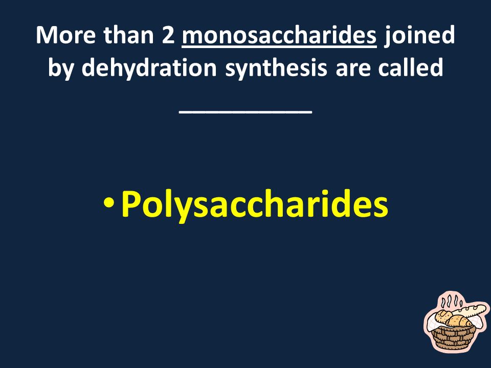 More than 2 monosaccharides joined by dehydration synthesis are called __________ Polysaccharides