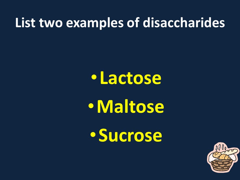 List two examples of disaccharides Lactose Maltose Sucrose