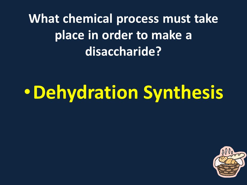 What chemical process must take place in order to make a disaccharide Dehydration Synthesis