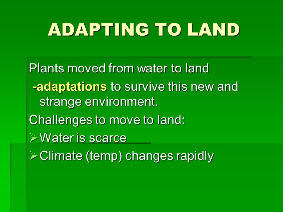 Plants. Plant Adaptations ADAPTING TO LAND Plants moved from water to land - adaptations to survive this new and strange environment. -adaptations to. -  ppt download