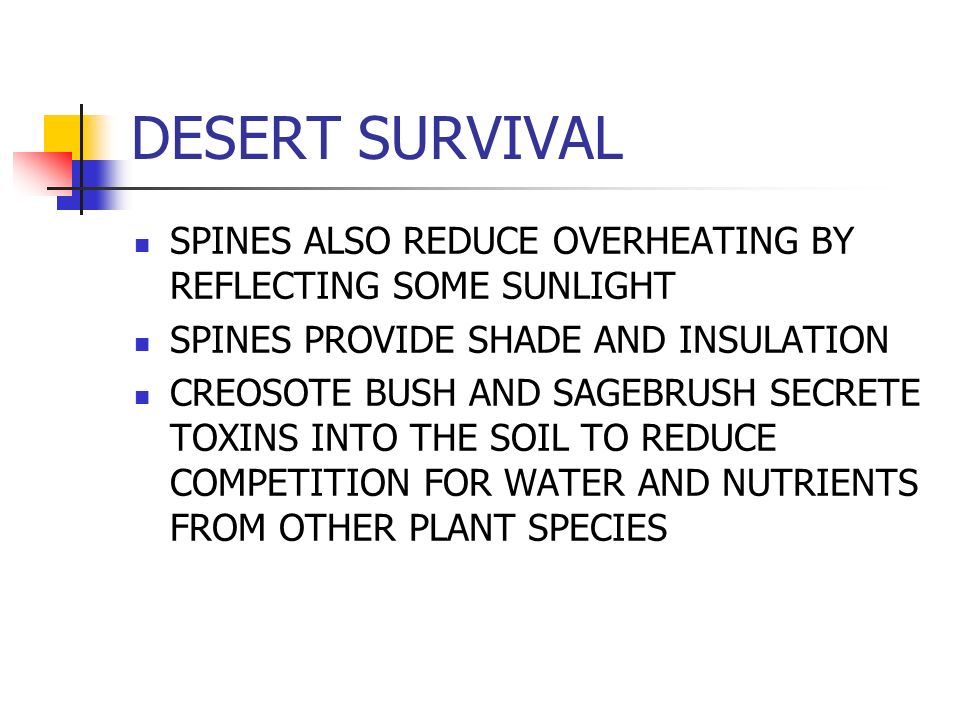 DESERT SURVIVAL SPINES ALSO REDUCE OVERHEATING BY REFLECTING SOME SUNLIGHT SPINES PROVIDE SHADE AND INSULATION CREOSOTE BUSH AND SAGEBRUSH SECRETE TOXINS INTO THE SOIL TO REDUCE COMPETITION FOR WATER AND NUTRIENTS FROM OTHER PLANT SPECIES