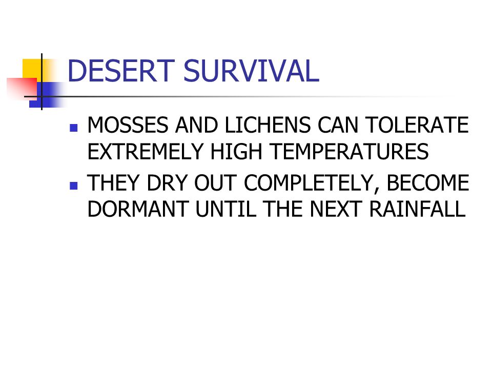 DESERT SURVIVAL MOSSES AND LICHENS CAN TOLERATE EXTREMELY HIGH TEMPERATURES THEY DRY OUT COMPLETELY, BECOME DORMANT UNTIL THE NEXT RAINFALL