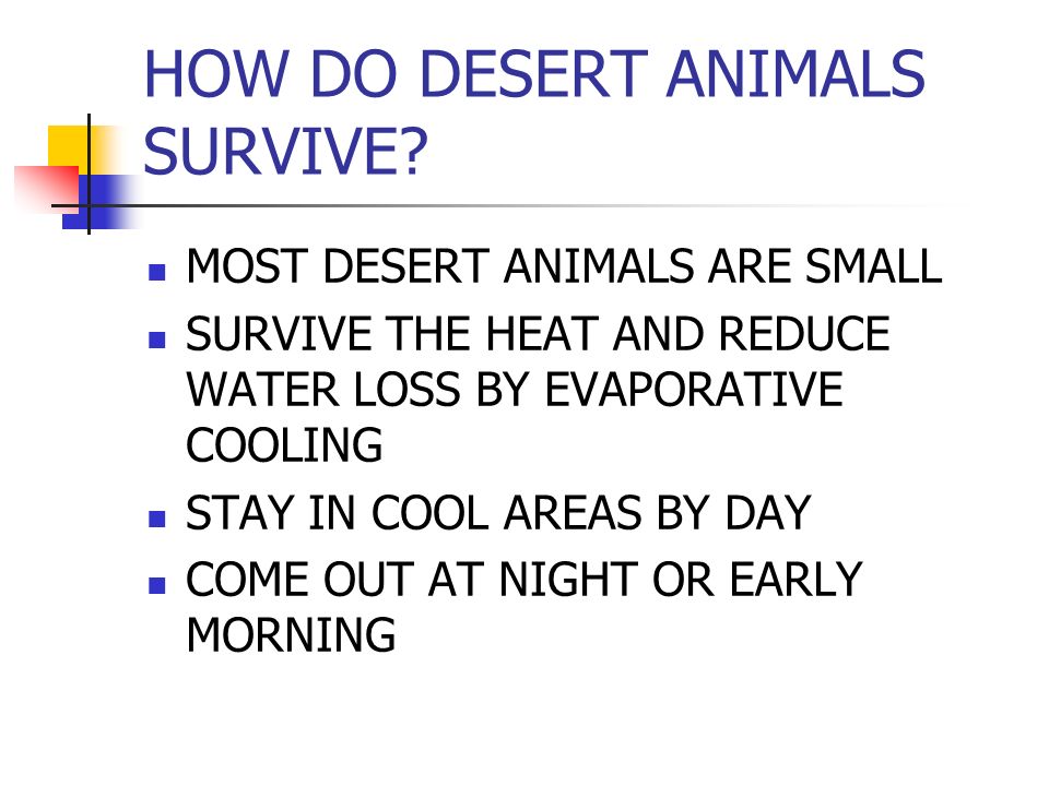 HOW DO DESERT ANIMALS SURVIVE.
