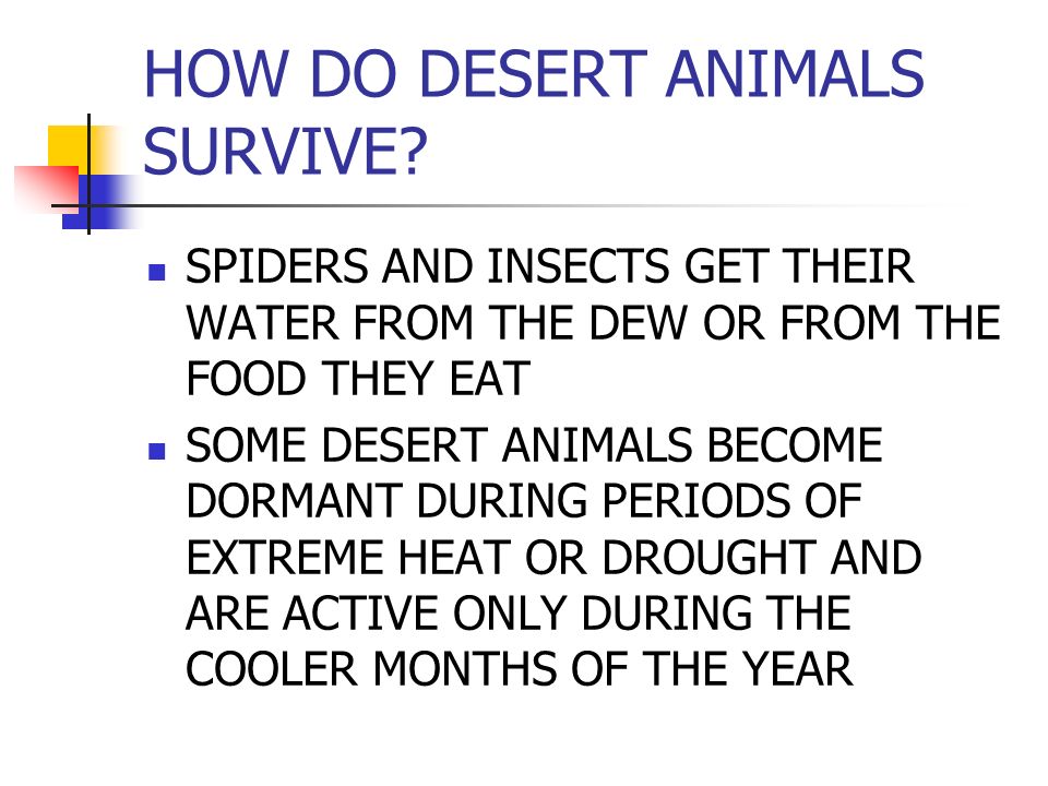 HOW DO DESERT ANIMALS SURVIVE.