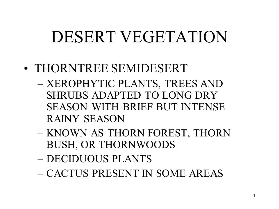 4 DESERT VEGETATION THORNTREE SEMIDESERT –XEROPHYTIC PLANTS, TREES AND SHRUBS ADAPTED TO LONG DRY SEASON WITH BRIEF BUT INTENSE RAINY SEASON –KNOWN AS THORN FOREST, THORN BUSH, OR THORNWOODS –DECIDUOUS PLANTS –CACTUS PRESENT IN SOME AREAS