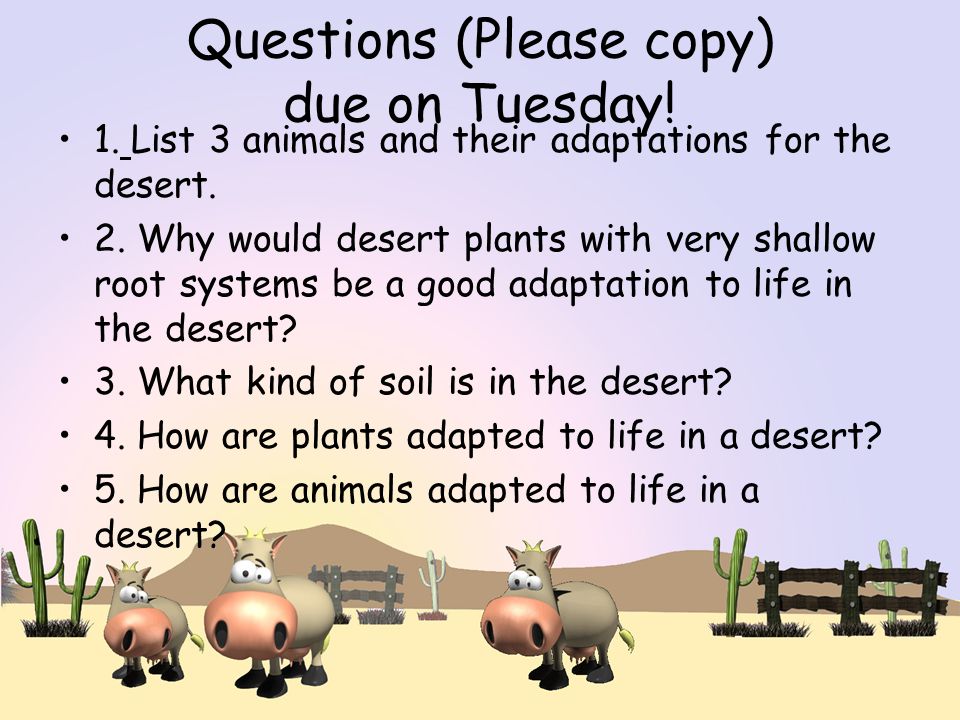 Questions (Please copy) due on Tuesday. 1. List 3 animals and their adaptations for the desert.