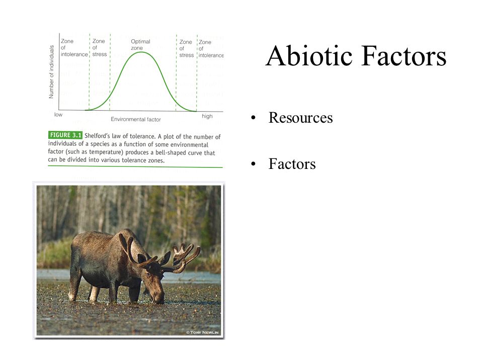 Abiotic Factors Resources Factors