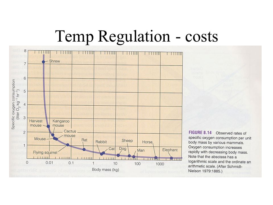 Temp Regulation - costs