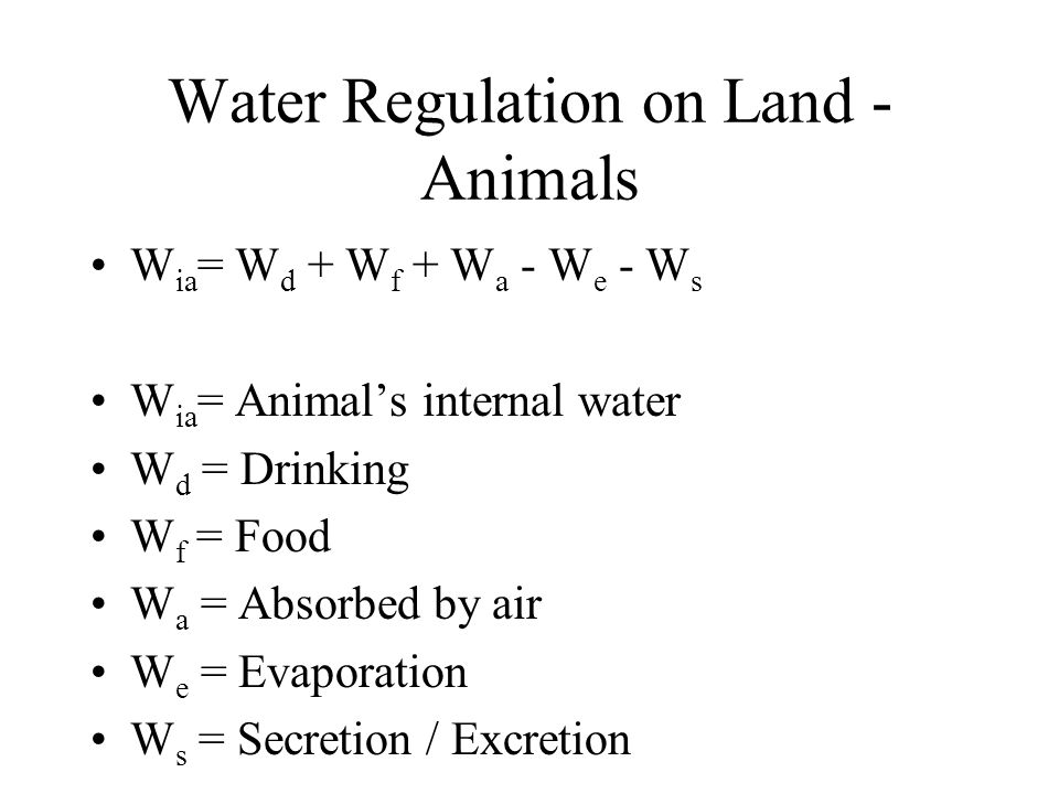 W ia = W d + W f + W a - W e - W s W ia = Animal’s internal water W d = Drinking W f = Food W a = Absorbed by air W e = Evaporation W s = Secretion / Excretion