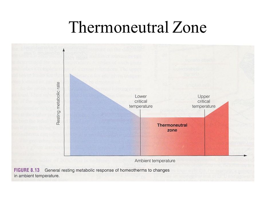 Thermoneutral Zone