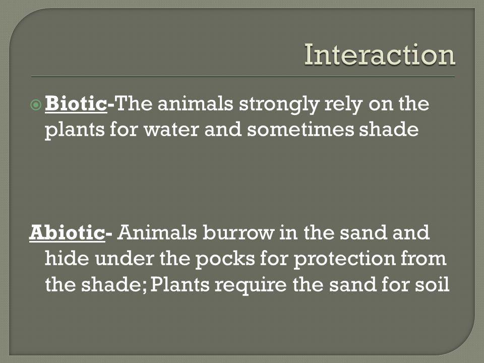  Biotic-The animals strongly rely on the plants for water and sometimes shade Abiotic- Animals burrow in the sand and hide under the pocks for protection from the shade; Plants require the sand for soil