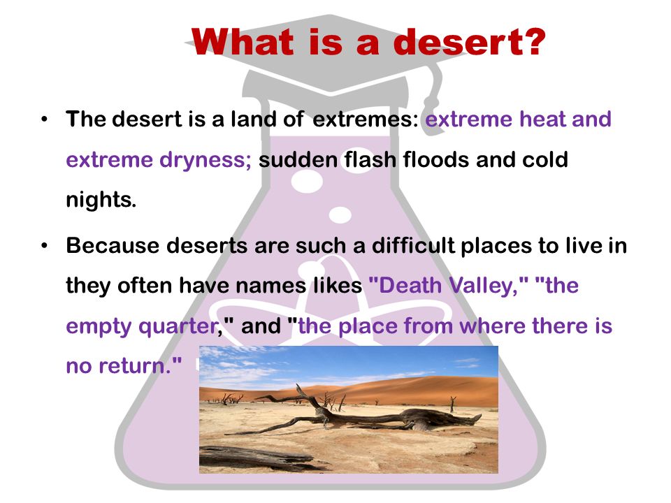 What is a desert.