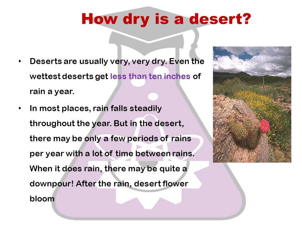 How dry is a desert. Deserts are usually very, very dry.