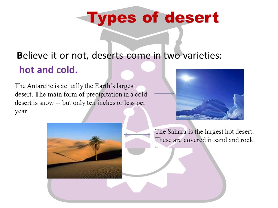 Types of desert Believe it or not, deserts come in two varieties: hot and cold.