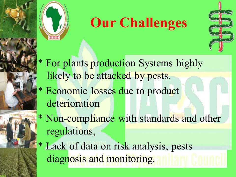 Our Challenges * For plants production Systems highly likely to be attacked by pests.